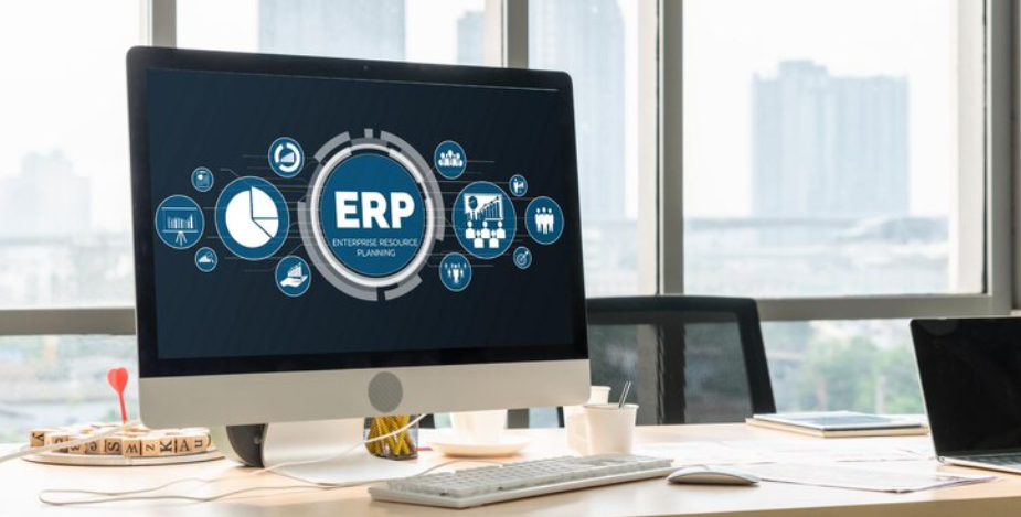 ERP Project Management Services